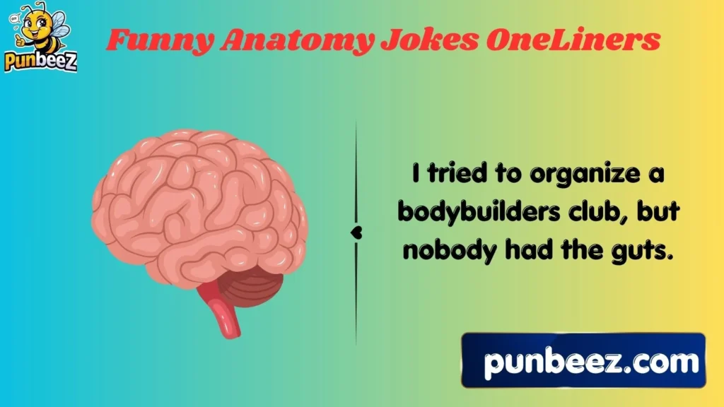 Funny Anatomy Jokes One Liners