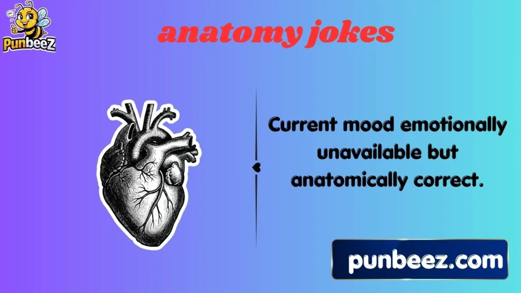 anatomy jokes