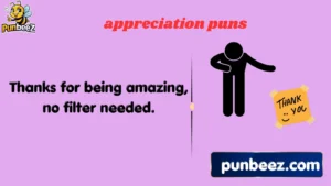appreciation puns