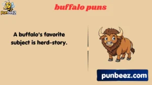 buffalo puns