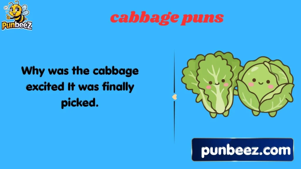 cabbage puns
