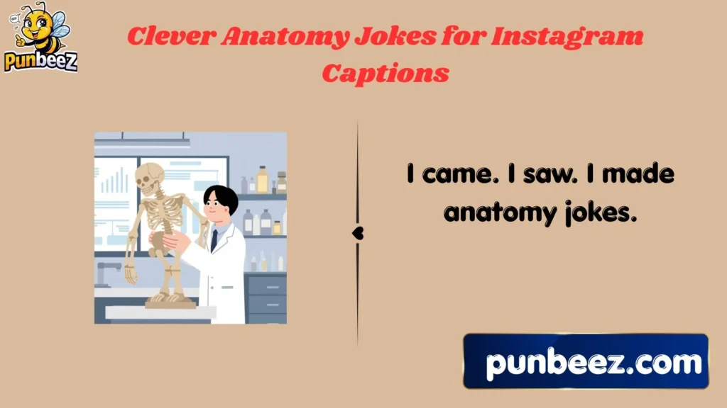 Clever Anatomy Jokes for Instagram Captions