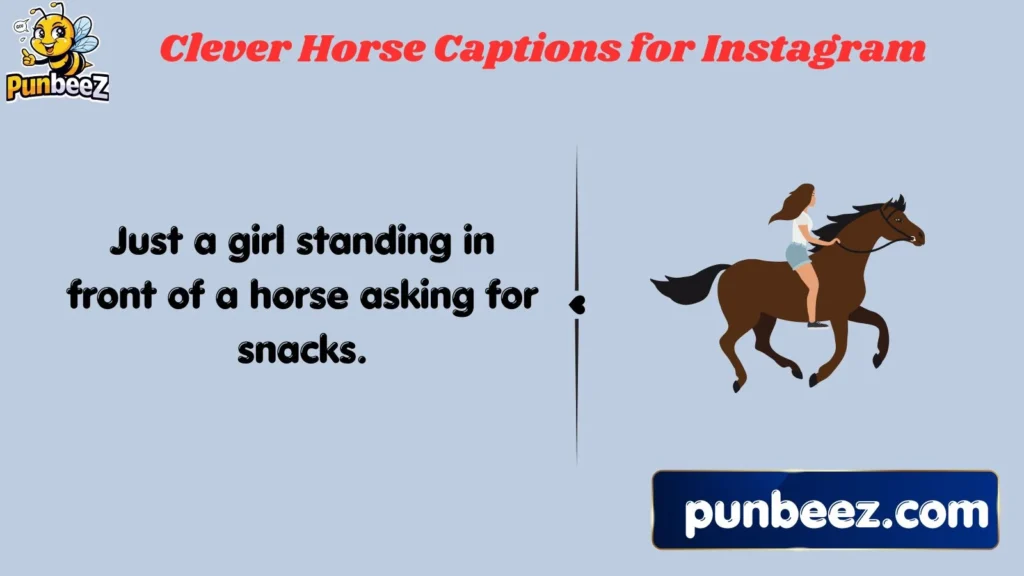Clever Horse Captions for Instagram