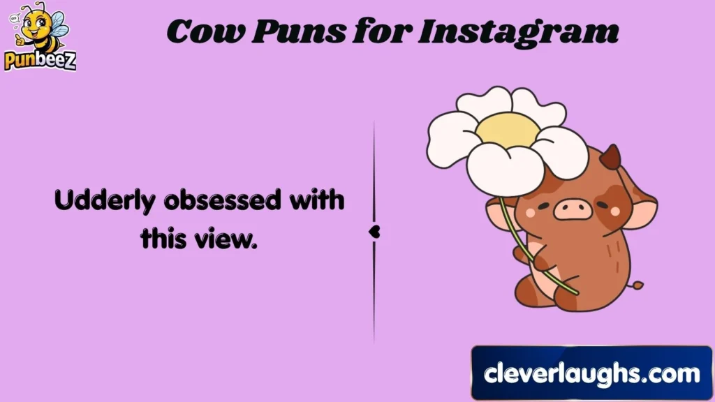 Cow Puns for Instagram