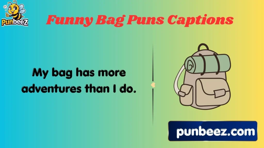 Funny Bag Puns Captions