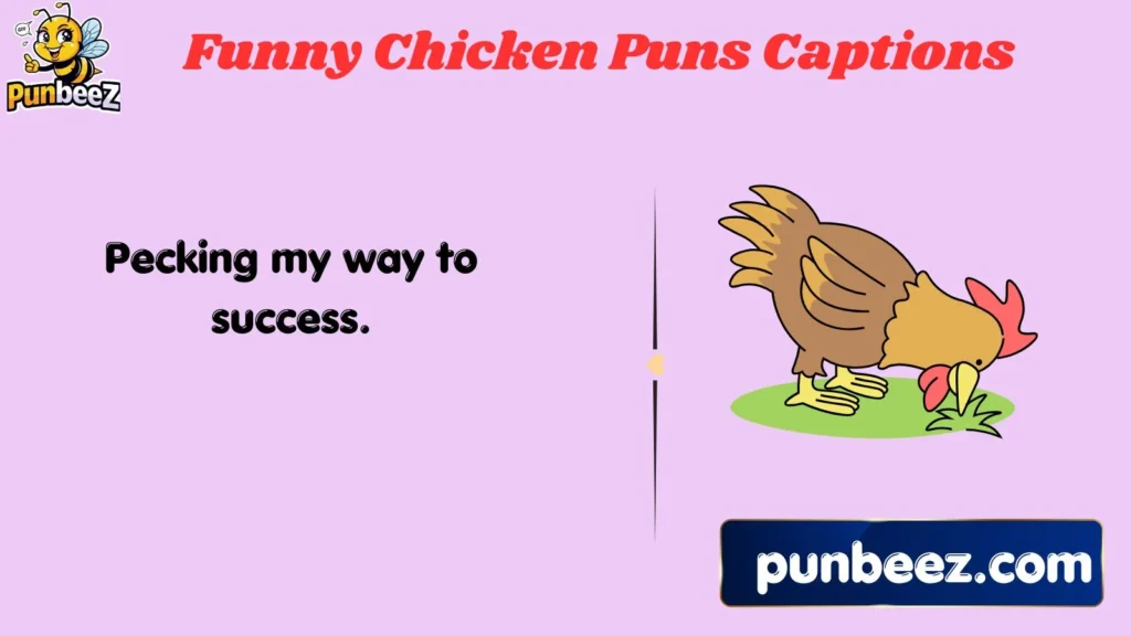 Funny Chicken Puns Captions