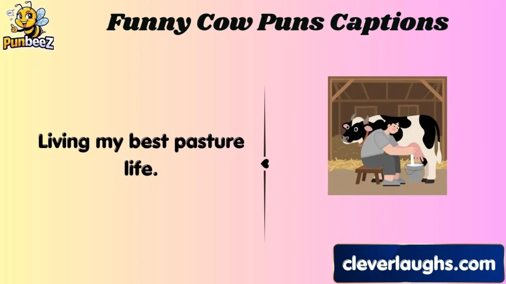 Funny Cow Puns Captions