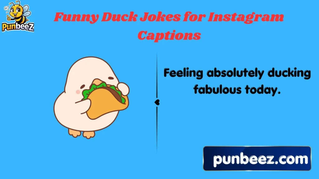 Funny Duck Jokes for Instagram Captions