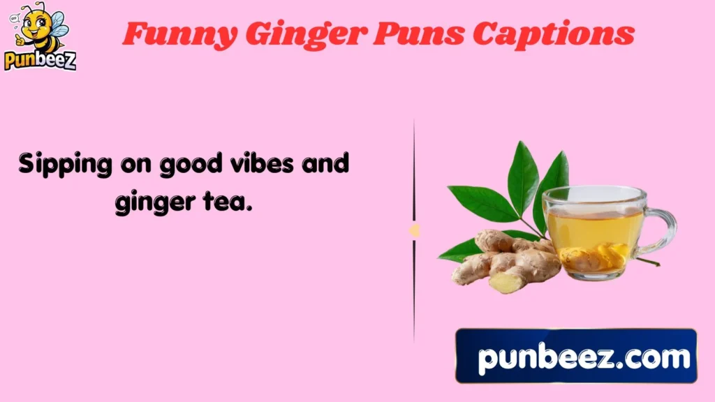 Funny Ginger Puns Captions