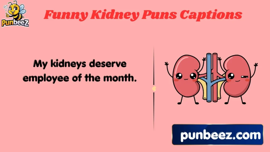 Funny Kidney Puns Captions