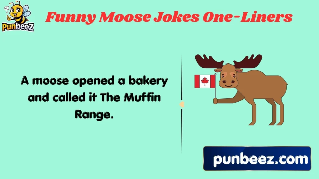 Funny Moose Jokes One-Liners