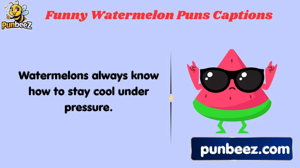 Funny Watermelon Puns Captions