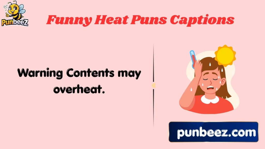 Funny Heat Puns Captions