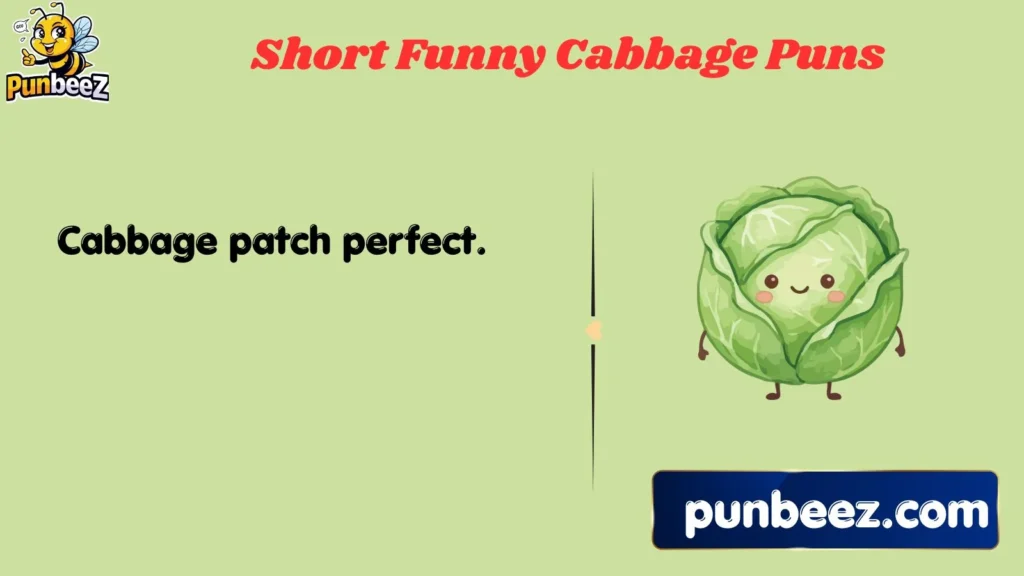 Short Funny Cabbage Puns