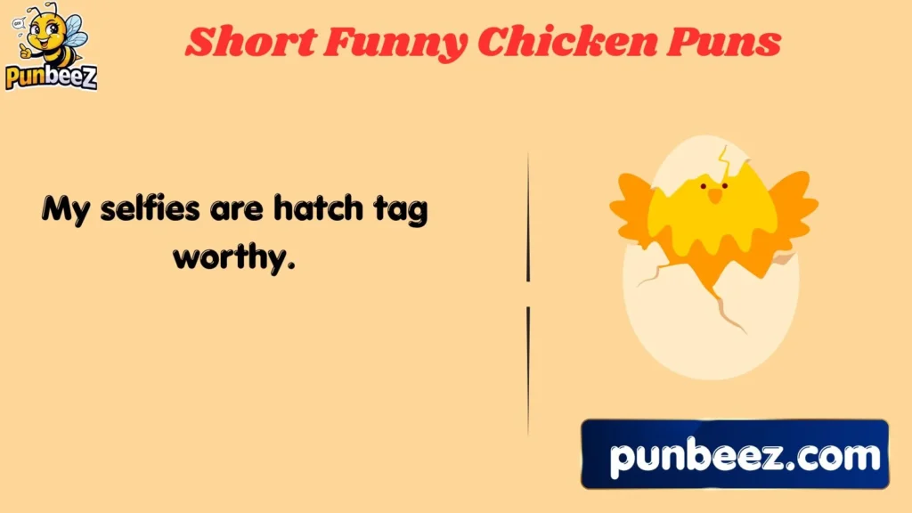 Short Funny Chicken Puns