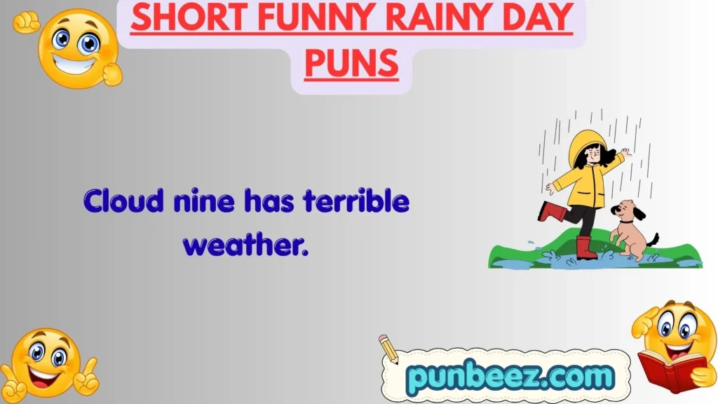 Short Funny Rainy Day Puns